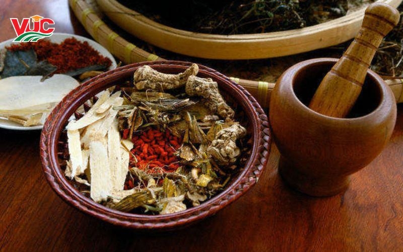 Đăng ký học Trung cấp Y học cổ truyền từ xa