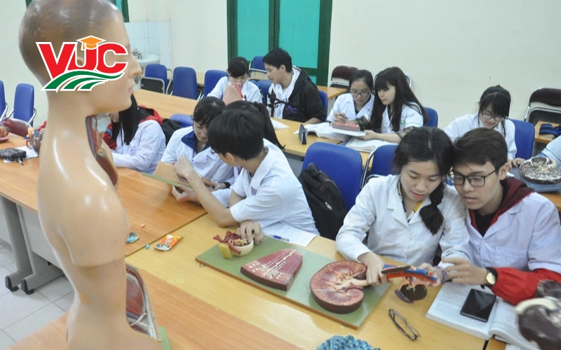 Tiêu Chuẩn Chọn Trường Đào Tạo Liên Thông Bác sĩ Đa khoa