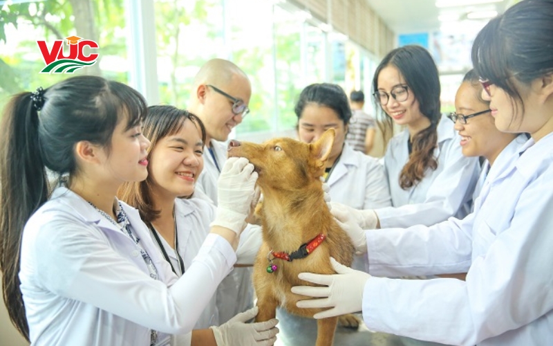 học Trung cấp Thú Y tại VUC