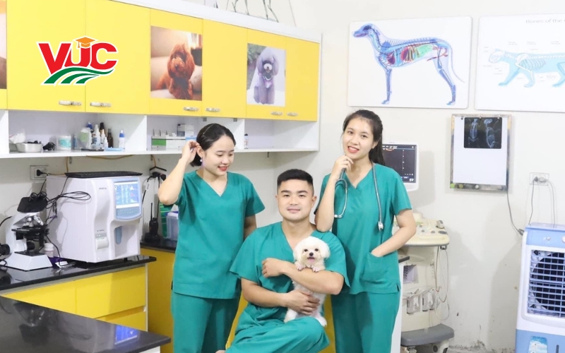 Nhu cầu tuyển dụng sau tốt nghiệp của sinh viên Cao đẳng Thú y