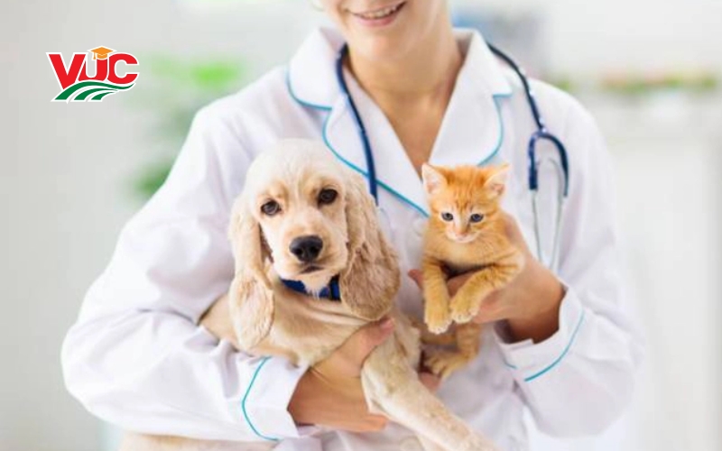 Học Cao đẳng Thú Y ra trường làm gì?