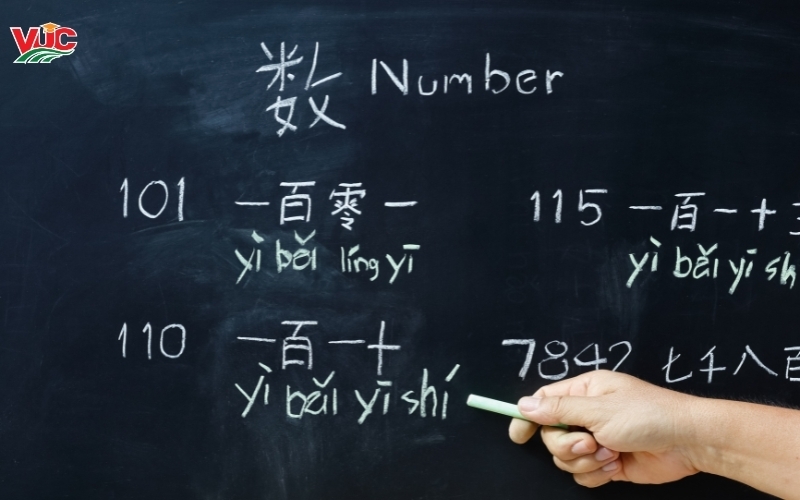 Cơ hội và mức thu nhập của sinh viên Trung cấp Tiếng Trung