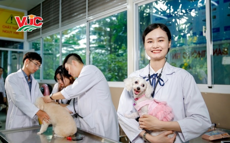 Thông tin tuyển sinh Trung cấp Thú Y 