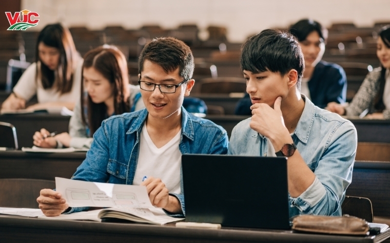 Tại sao Văn bằng 2 Tiếng Trung lại là "mỏ vàng" năm 2026?