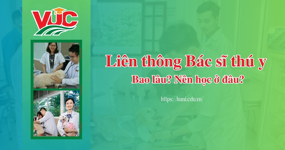 Liên thông Bác sĩ Thú Y bao lâu