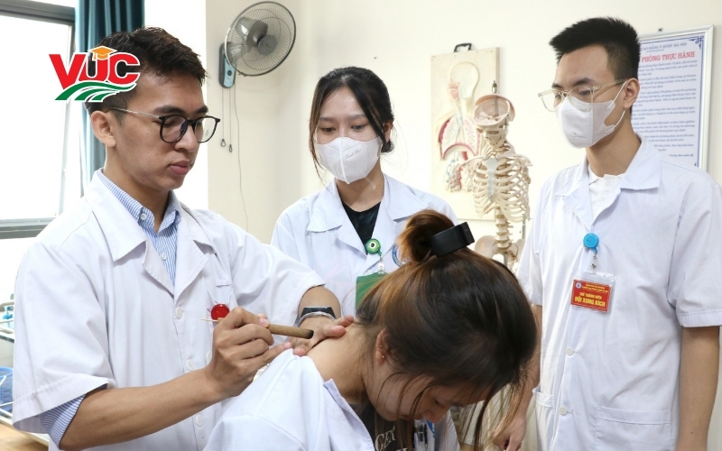 Tại sao năm 2026 lại là thời điểm "vàng" để học Y học cổ truyền?