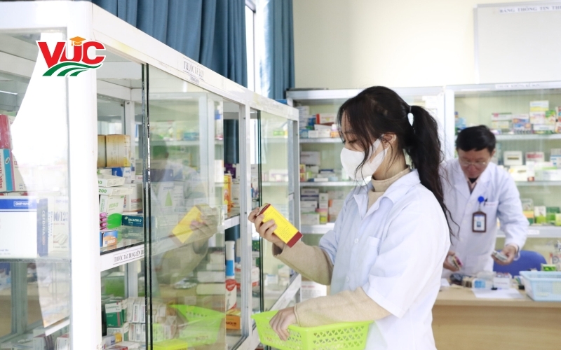 Tổng quan thị trường Dược phẩm