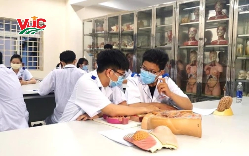 Thông tin tuyển sinh ngành Dược