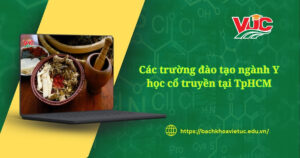 Các Trường đào tạo ngành Y học cổ truyền tại TpHCm