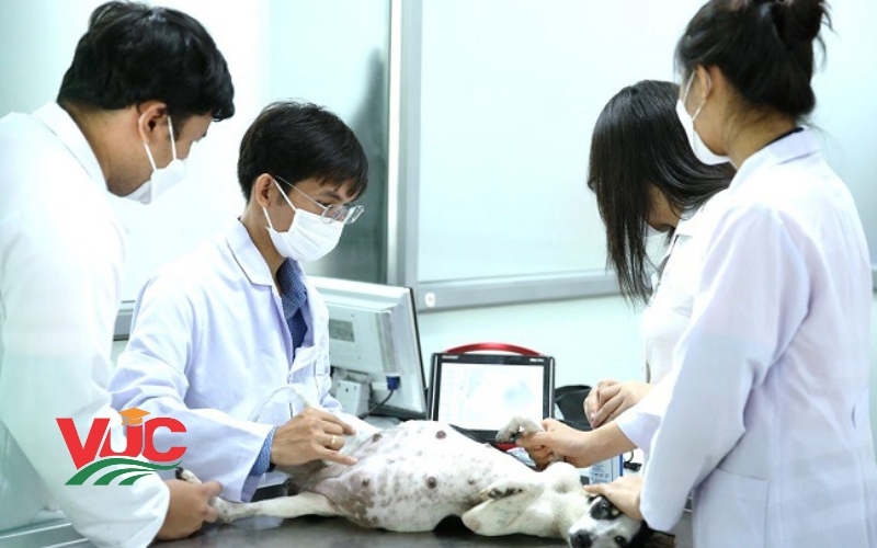 Thông tin tuyển sinh Trung cấp Thú Y 