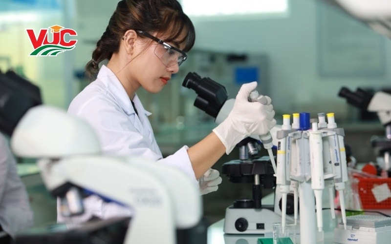 Tại sao phải liên thông Trung cấp lên Đại học ngành Dược ngay lúc này?