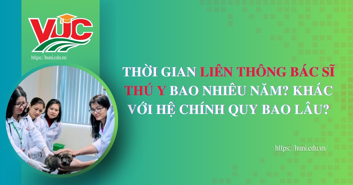 Thời gian liên thông bác sĩ thú y bao nhiêu năm
