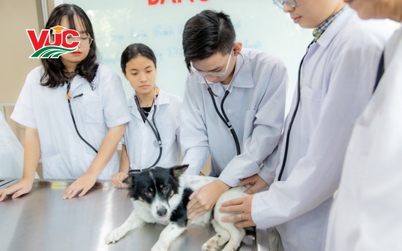 Thời gian đào tạo Trung cấp Thú Y hệ trực tuyến bao lâu?
