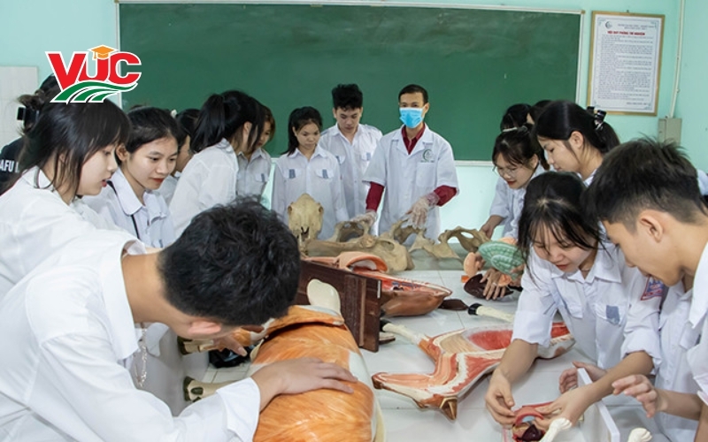 Học Trung cấp Thú Y hệ trực tuyến như thế nào khi cửa hàng cần bạn quản lý 24/7?