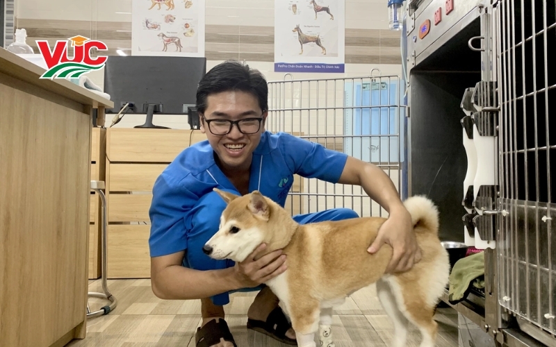 Địa chỉ đào tạo Cao đẳng Thú Y hệ từ xa uy tín tại miền Nam: Trường VUC