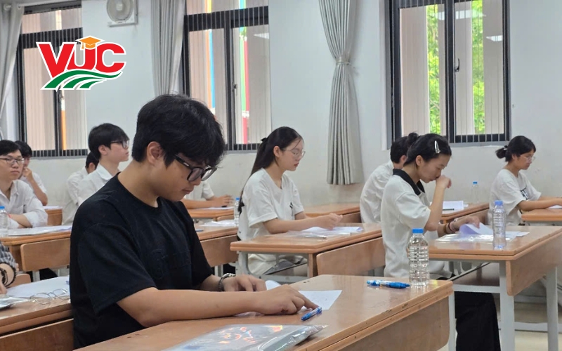 Quy định lệ phí hành chính và chính sách thực tập tốt nghiệp
