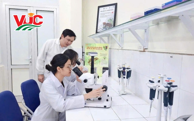 Nên học đại học hay cao đẳng trong thời đại mới?