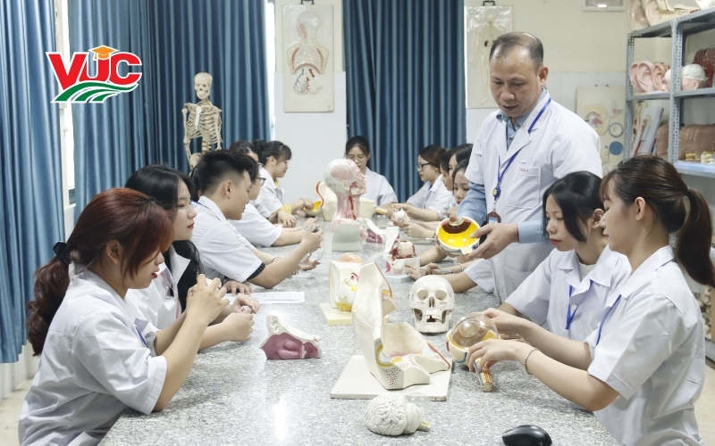Chương trình học trực tuyến Trung cấp Dược ra sao?