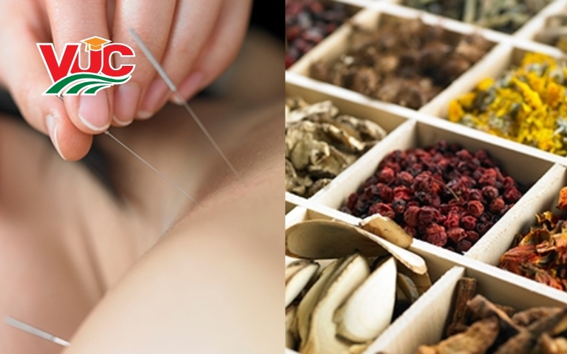 Học ngành y học cổ truyền học từ xa mang lại những lợi ích gì?
