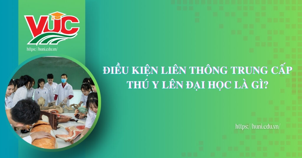 Điều kiện liên thông Trung cấp Thú Y lên Đại học là gì?