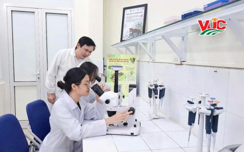 Học tại trường cao đẳng học online là học như thế nào?