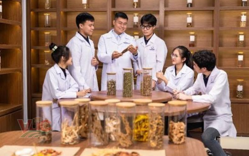 Lợi ích vượt trội khi chọn y sĩ y học cổ truyền liên thông Đại học