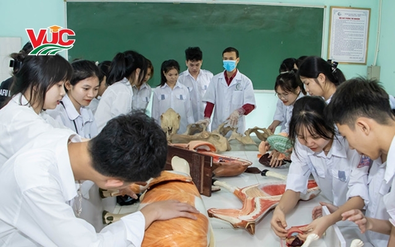 Thông tin tuyển sinh trung cấp thú y đào tạo từ xa tại VUC