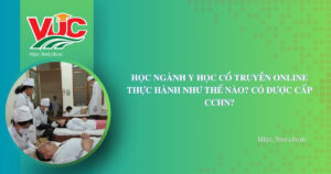 Học ngành Y học cổ truyền online thực hành như thế nào? Có được cấp CCHN?