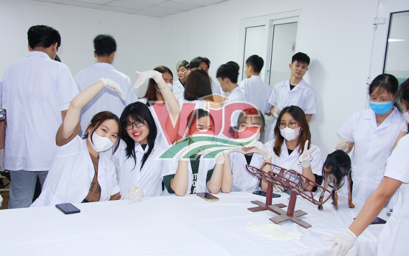 Chi phí học trung cấp ngành Thú y học từ xa bao nhiêu?