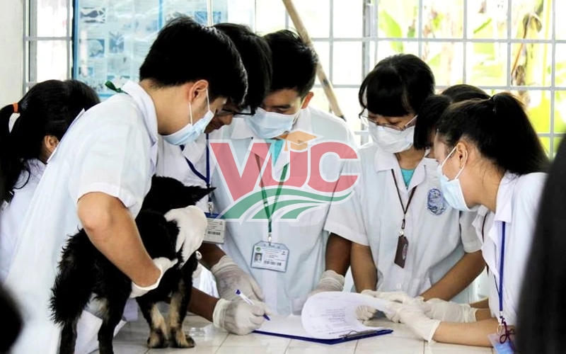 Học trung cấp ngành Thú y học từ xa là gì và có ưu điểm gì?