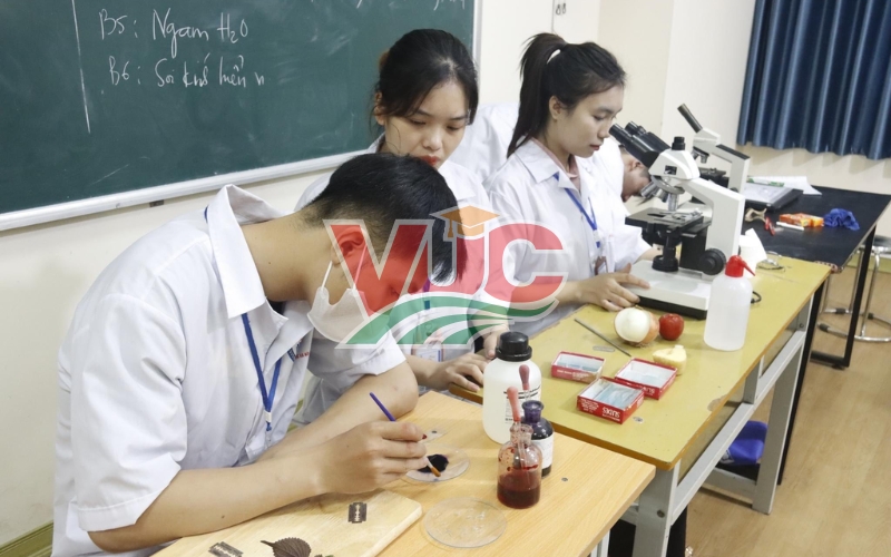 Nên chọn học văn bằng 2 trung cấp ngành dược ở đâu uy tín?