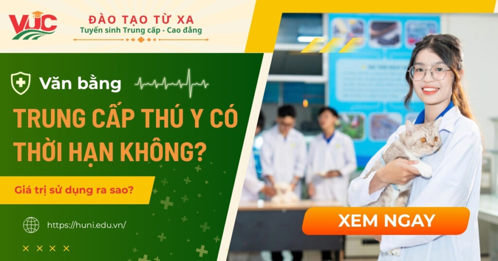 Bằng Trung cấp Thú y có thời hạn không?