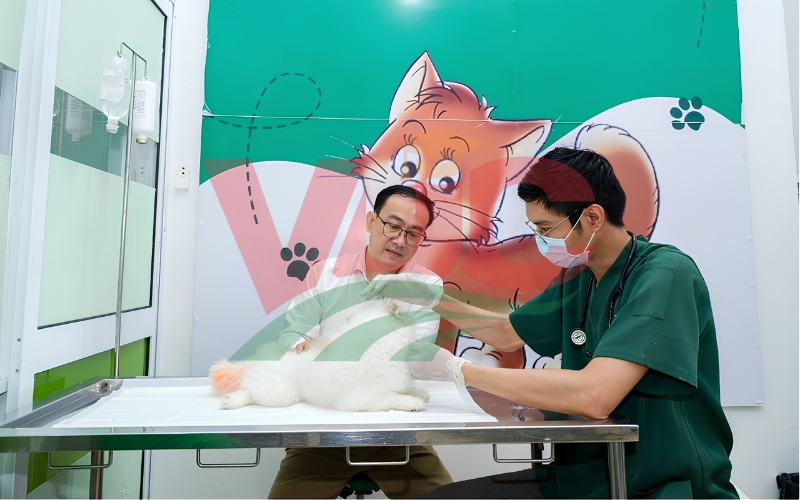 Người sở hữu bằng Trung cấp Thú Y có được mở phòng khám không?