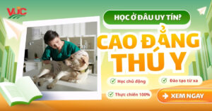 Trường Cao đẳng Thú y uy tín tại TPHCM