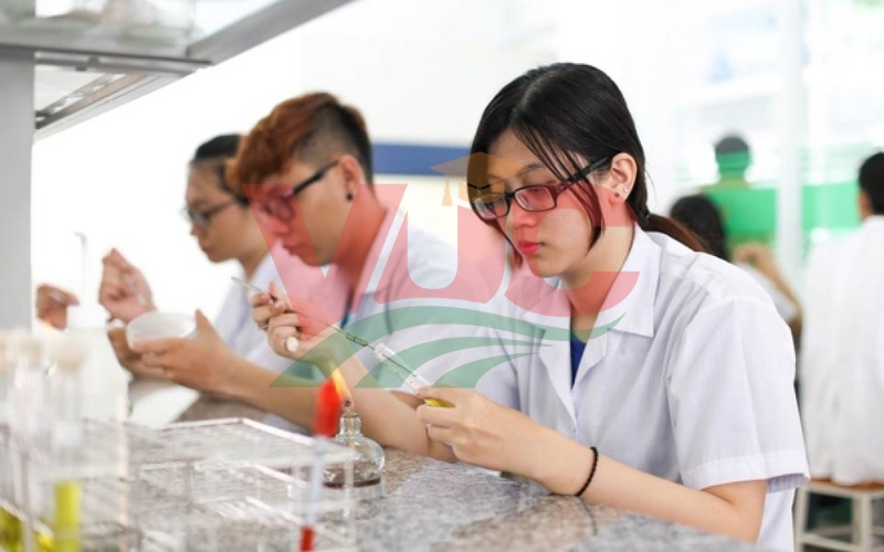 Ai nên học Trung cấp Dược hệ vừa học vừa làm?