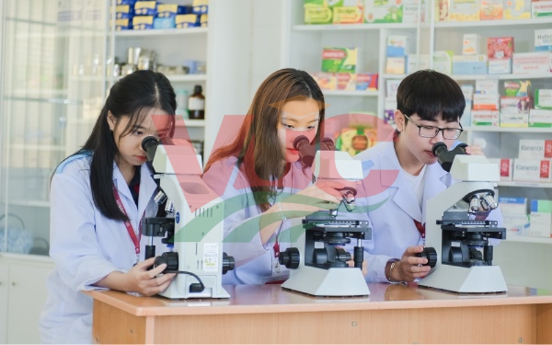 Bằng Trung cấp Dược hệ vừa học vừa làm có giá trị như thế nào?