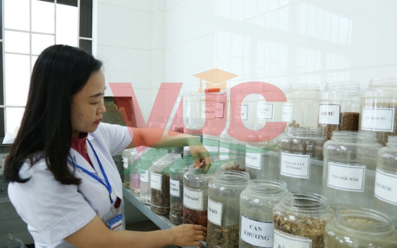 Bằng Trung cấp Y học cổ truyền online có giá trị sử dụng như thế nào?