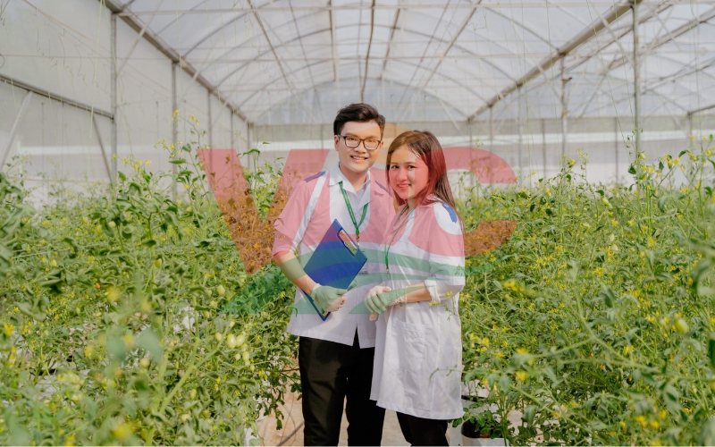 Chương trình đào tạo tại các trường đào tạo Trung cấp Y học cổ truyền ra sao?