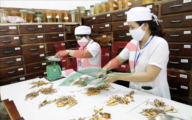 Chương trình Trung cấp Y học cổ truyền online tại Trung cấp Bách Khoa Việt Úc