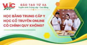 Học Bằng Trung cấp Y học cổ truyền online có Chính quy không?