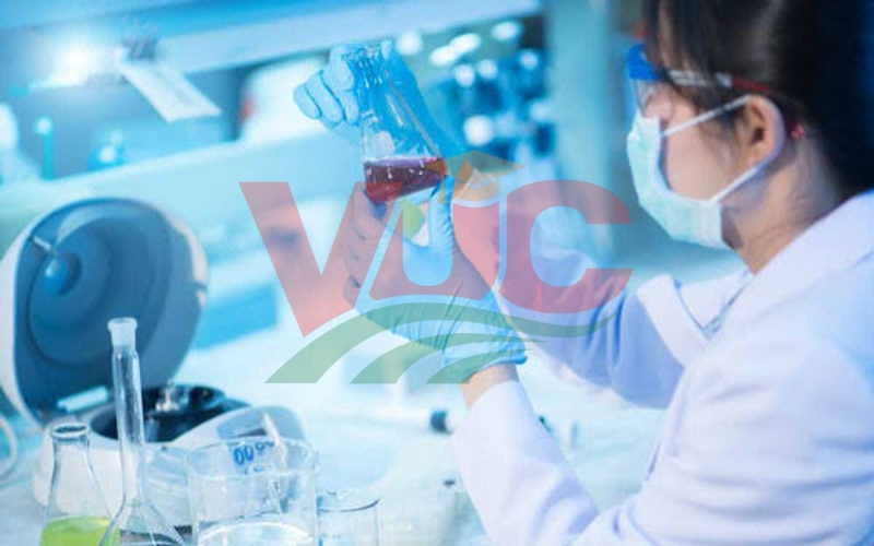 Học văn bằng 2 Dược online là gì? Phù hợp với người bận rộn không?