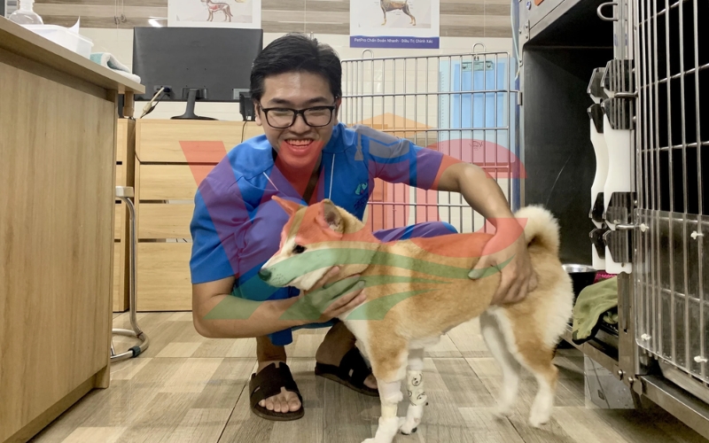 Khóa học Trung cấp Thú y từ xa có phù hợp với người bận rộn không?