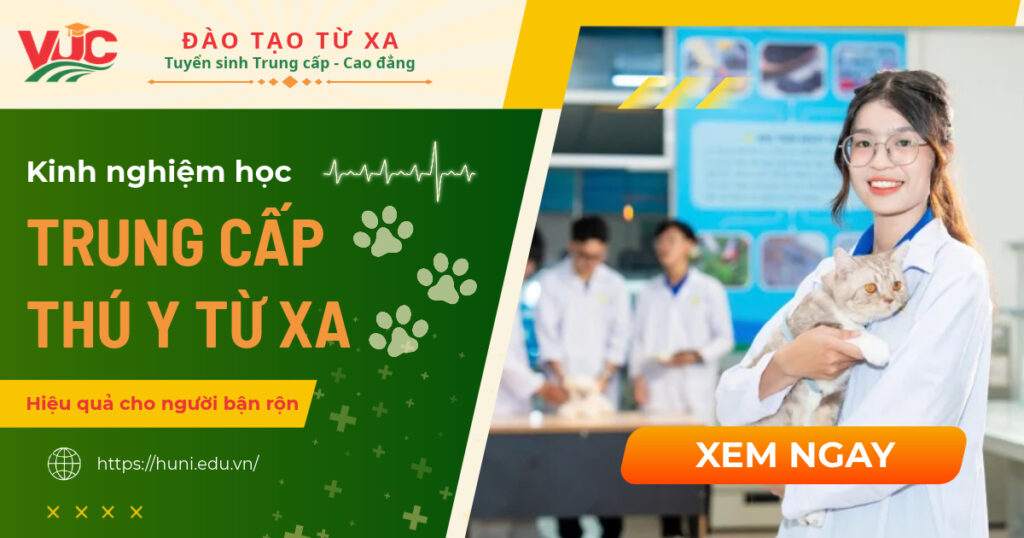 Kinh nghiệm học Trung cấp Thú y từ xa hiệu quả cho người bận rộn