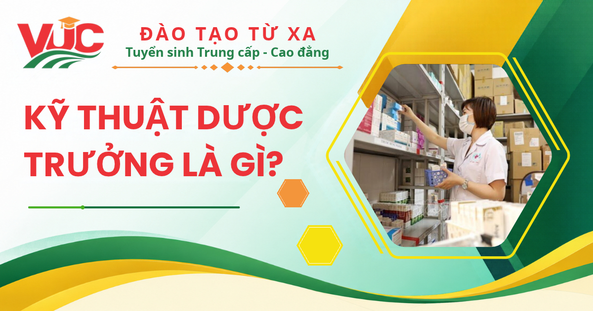 Kỹ thuật Dược trưởng là gì? Nên học Trung cấp hay Cao đẳng Dược để làm được?