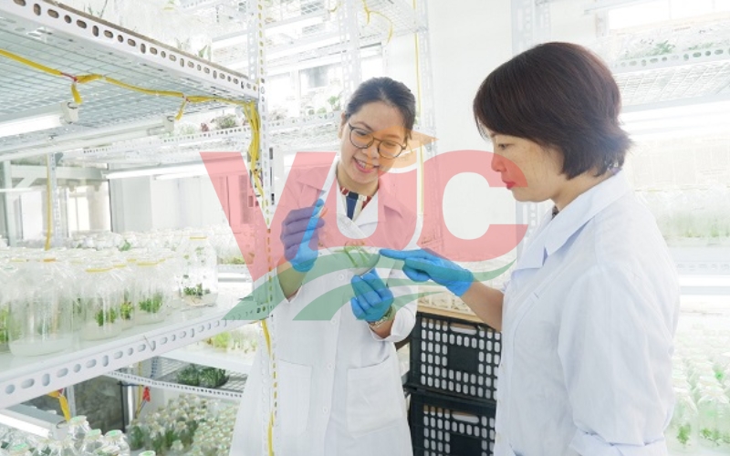 Thông báo tuyển sinh học văn bằng 2 Dược online - Giảm học phí